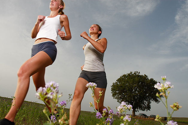 Home fitness vs professional training