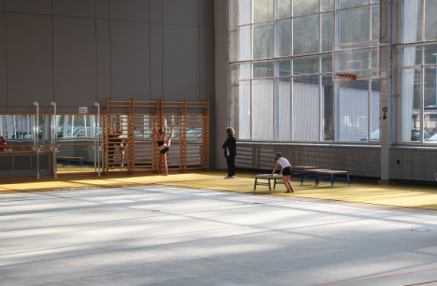 palestra
