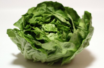 insalata